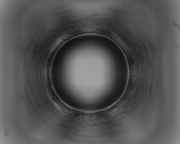 X0000095690626200801081249
