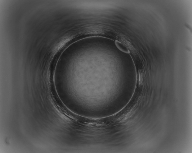 X0000095690627200801081249