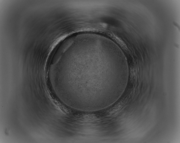X0000095690628200801081249