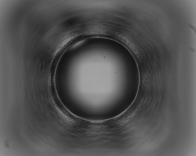 X0000095690629200801081249