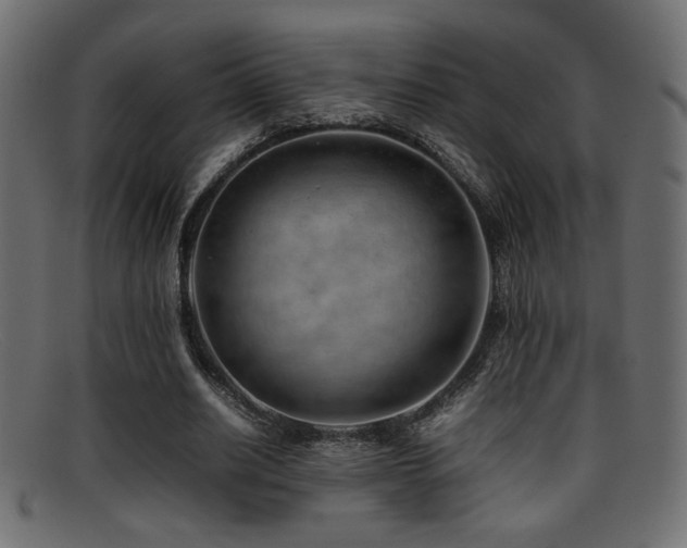X0000095690630200801081249