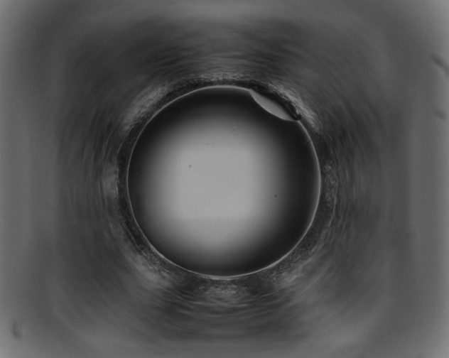 X0000095690631200801081249