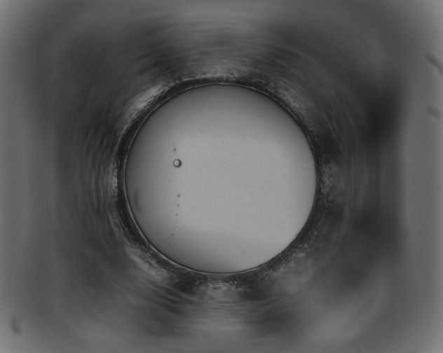 X0000095690632200801081249