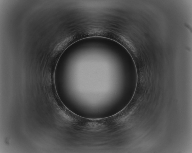 X0000095690633200801081249