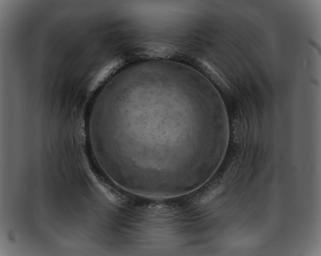 X0000095690634200801081249