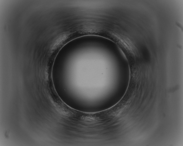 X0000095690635200801081249