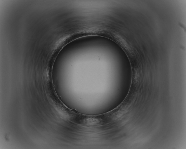 X0000095690636200801081249