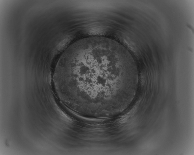X0000095690637200801081249