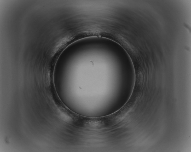 X0000095690638200801081249
