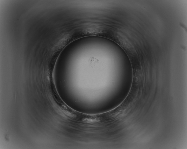 X0000095690639200801081249