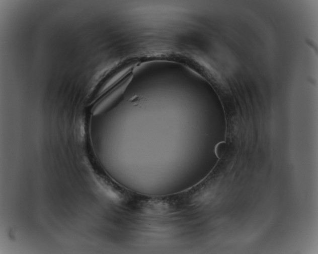 X0000095690640200801081249