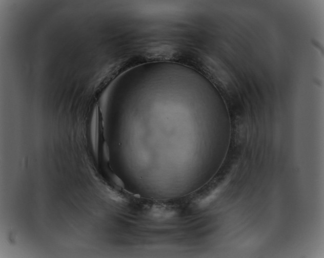 X0000095690641200801081249