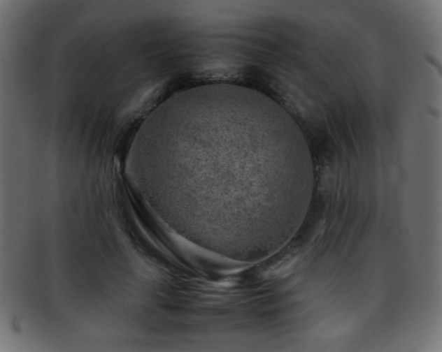 X0000095690643200801081249