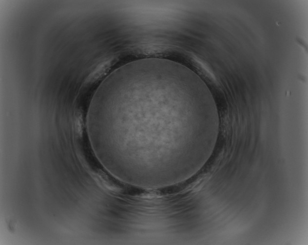 X0000095690644200801081249