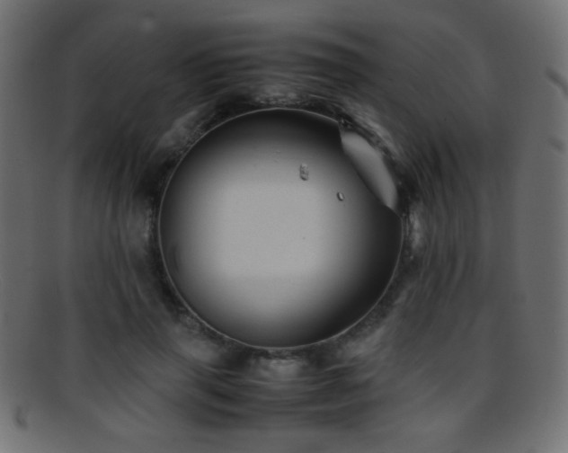 X0000095690645200801081249