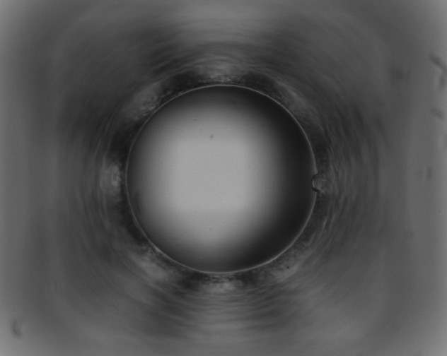 X0000095690646200801081249