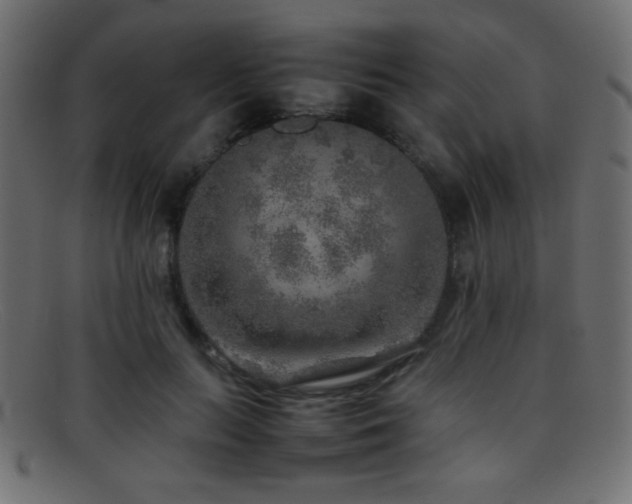 X0000095690647200801081249