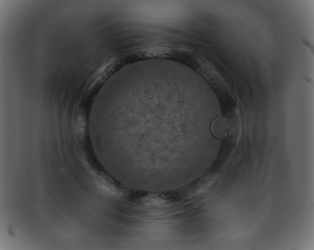 X0000095690648200801081249