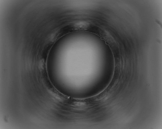 X0000095690649200801081249