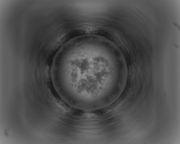 X0000095690650200801081249