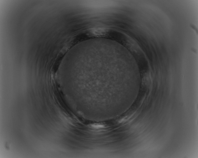 X0000095690651200801081249