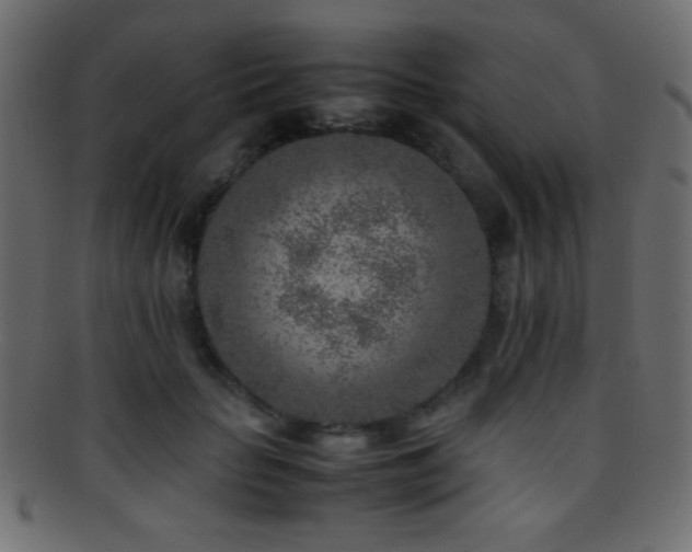 X0000095690653200801081249