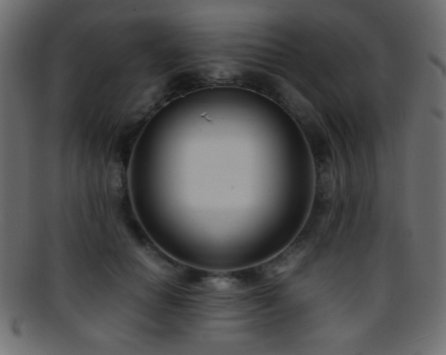 X0000095690654200801081249
