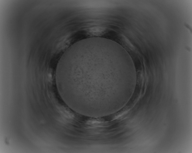 X0000095690655200801081249