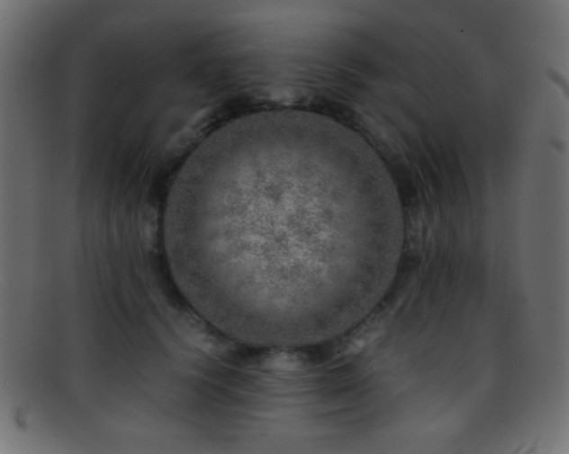 X0000095690656200801081249