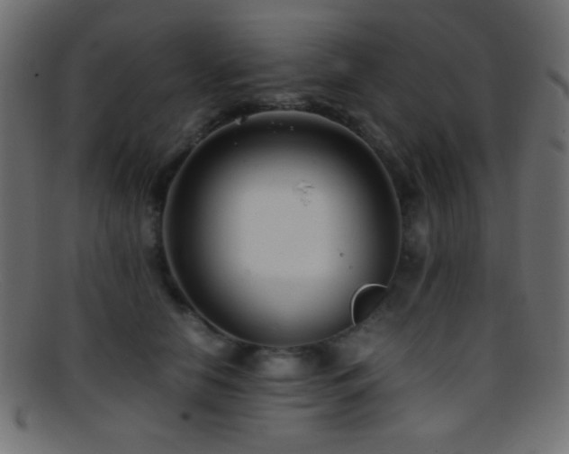 X0000095690658200801081249