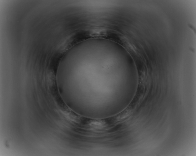 X0000095690659200801081249