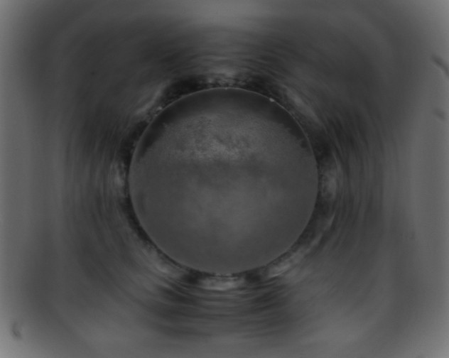 X0000095690661200801081249