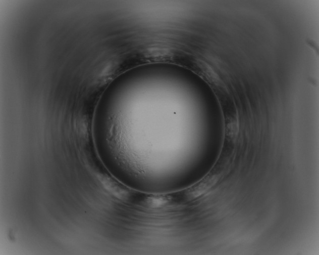 X0000095690662200801081249