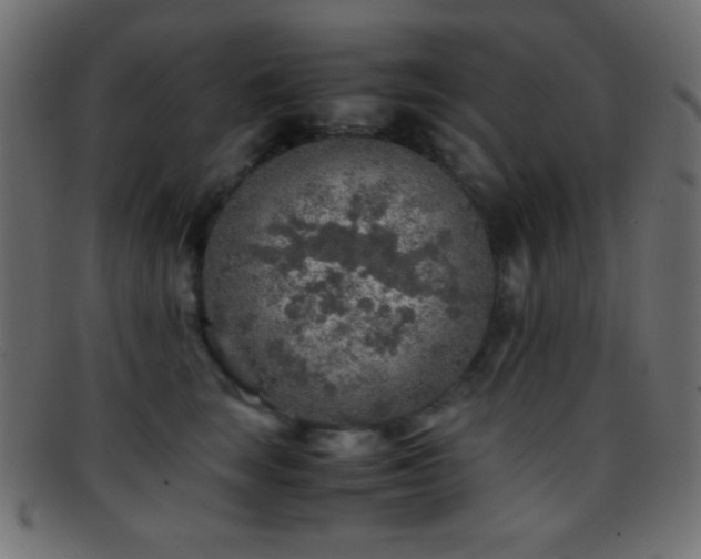 X0000095690663200801081249