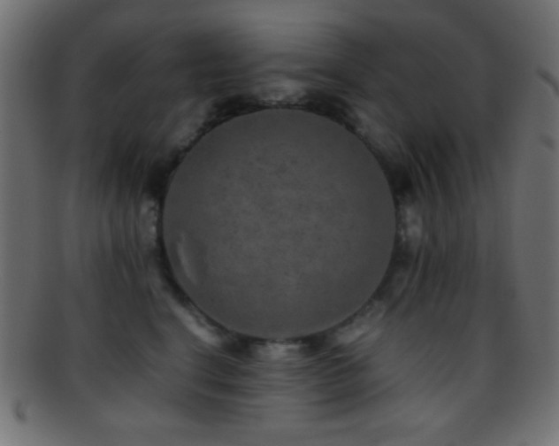 X0000095690664200801081249