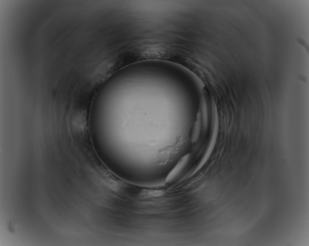 X0000095690665200801081249