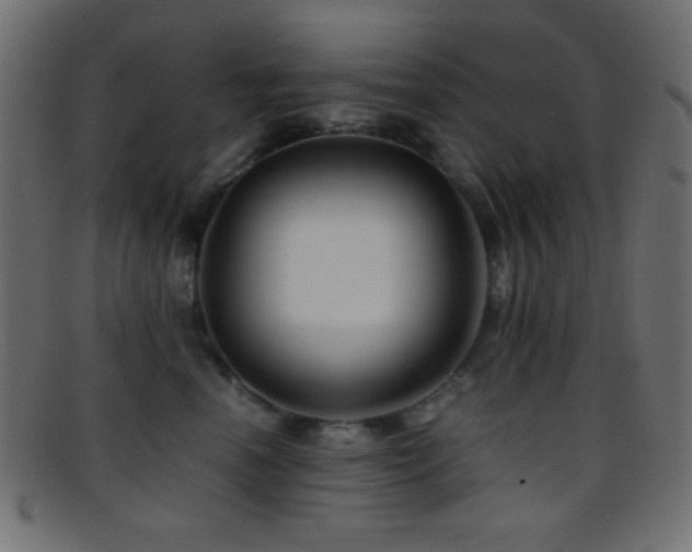 X0000095690666200801081249