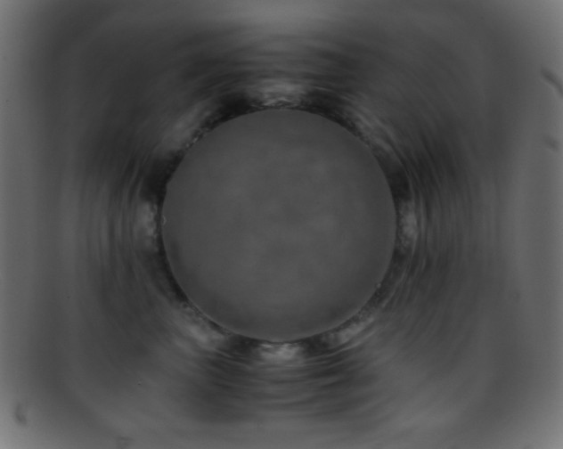 X0000095690667200801081249