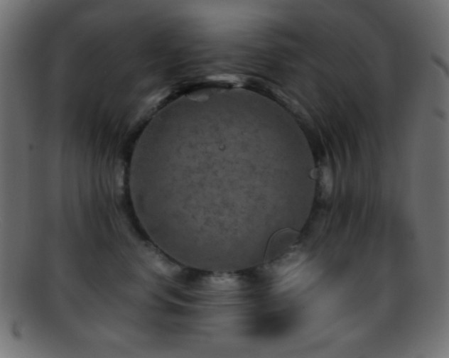 X0000095690668200801081249
