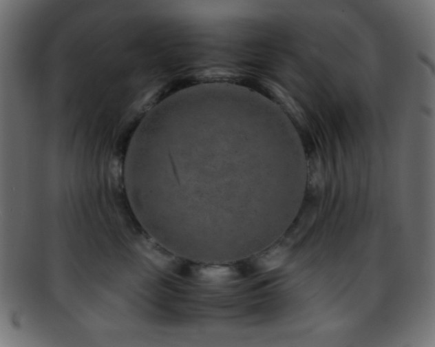 X0000095690669200801081249
