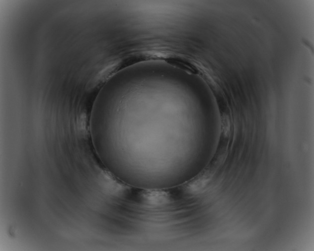 X0000095690670200801081249