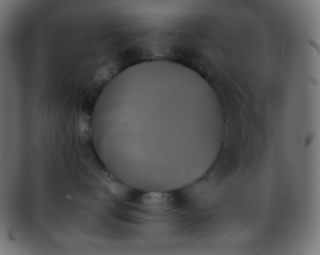 X0000095690672200801081249