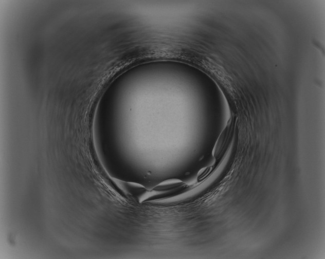 X0000095690673200801081249