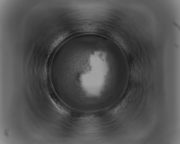 X0000095690674200801081249