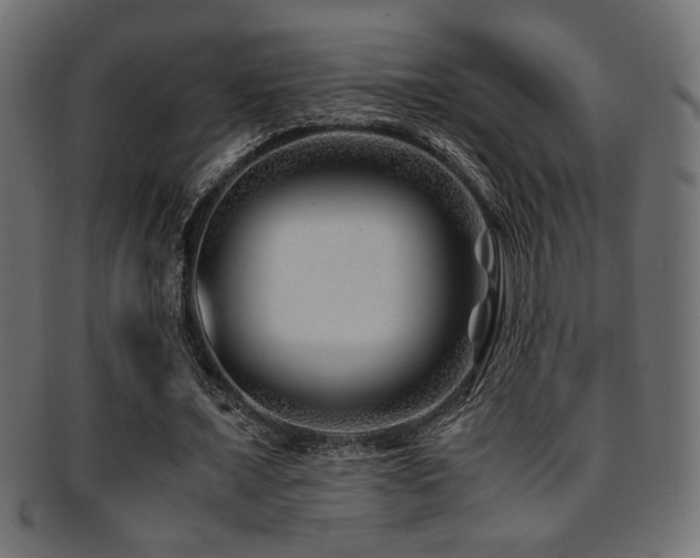 X0000095690675200801081249
