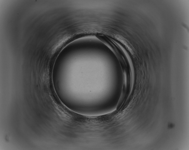 X0000095690677200801081248