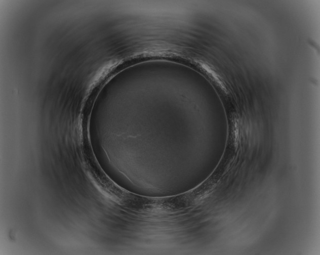 X0000095690678200801081248