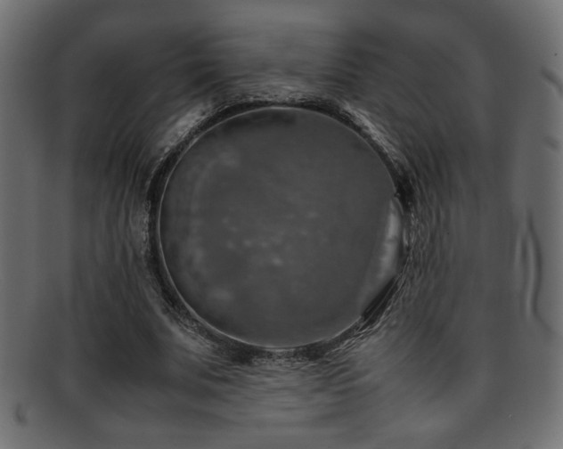 X0000095690679200801081248