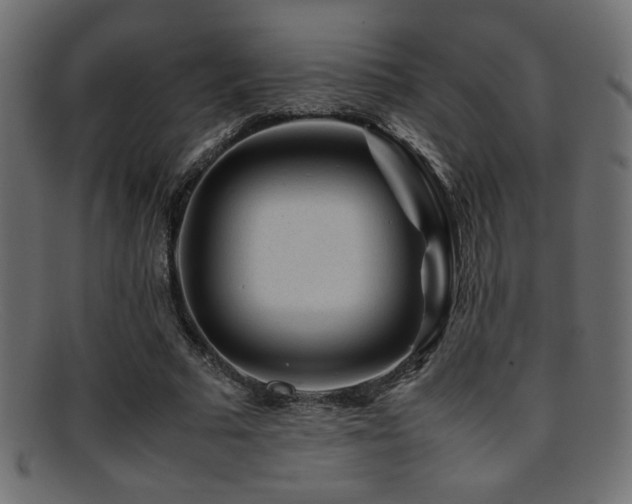 X0000095690681200801081248