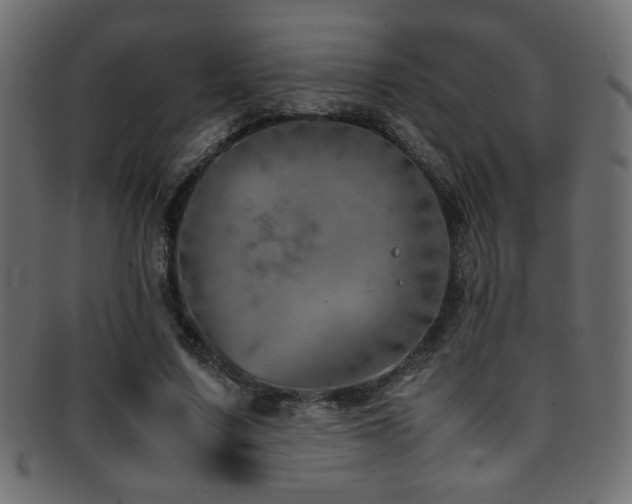 X0000095690683200801081248